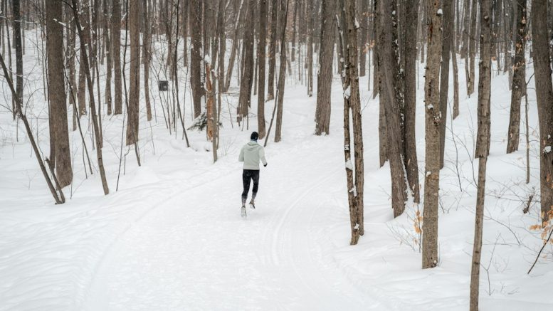 Courir en raquettes dans le Vercors : les questions à se poser avant